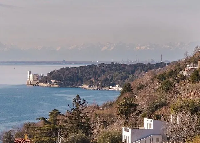 Sea Life Отель типа 