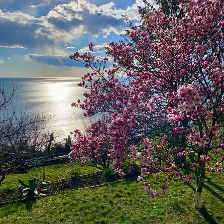Bed & Breakfast Sea Life Trieste